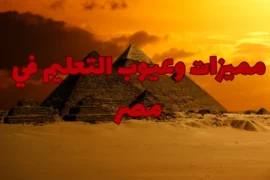 مميزات وعيوب التعليم في مصر