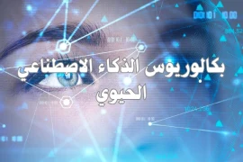 كلية الذكاء الاصطناعي كل ما تريد معرفته عن بكالوريوس الذكاء الاصطناعي الحيوي