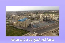 جامعة كفر الشيخ كل ما تريد معرفته